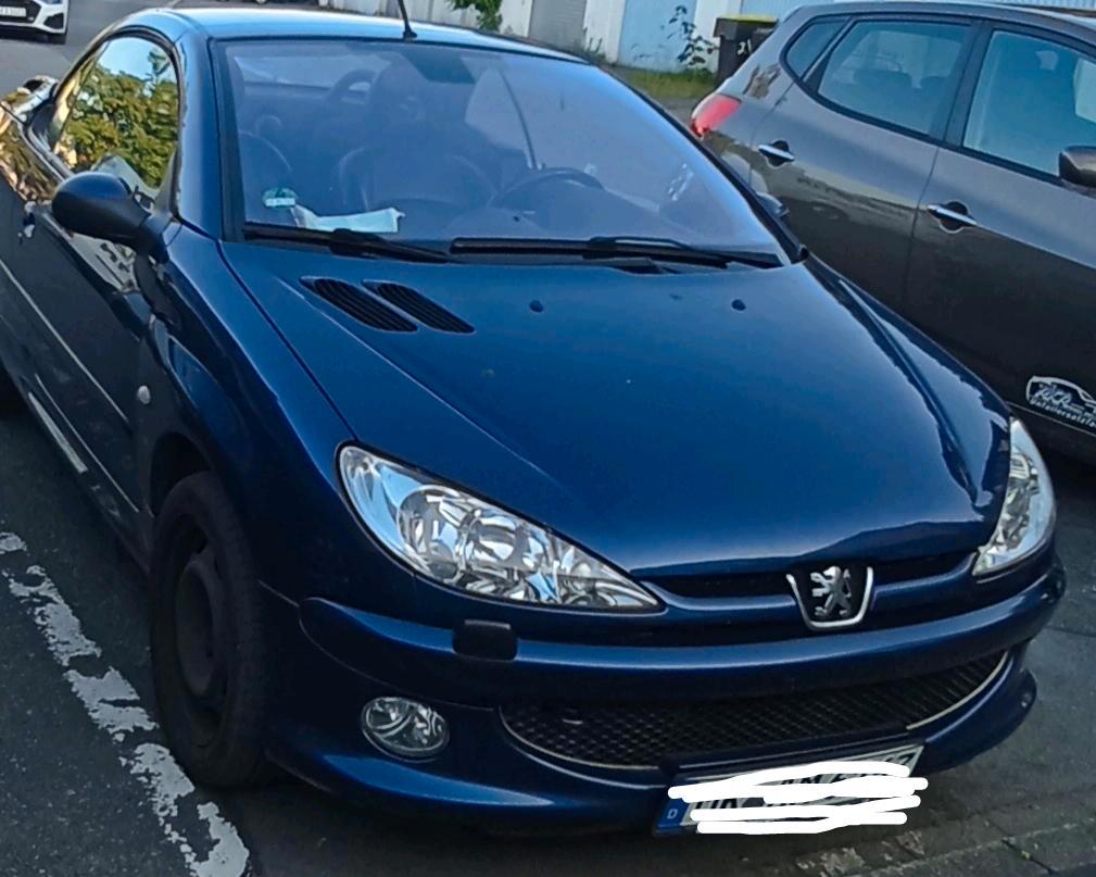 Abbildung des Autos Peugeot 206