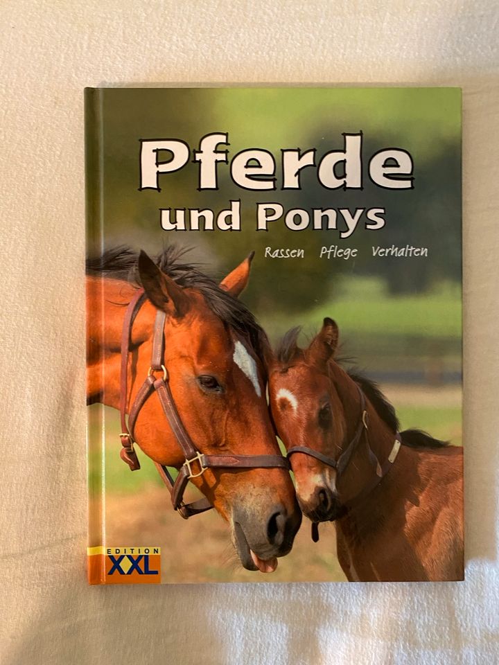 Pferde und Ponys Sachbuch in Dresden