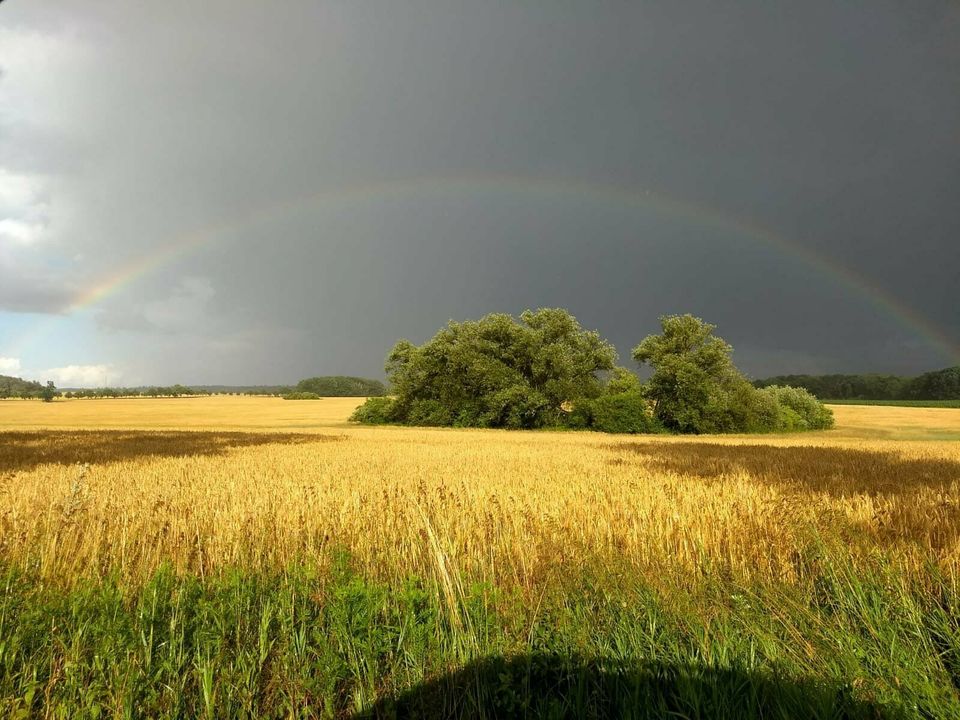 Urlaub auf dem Bauernhof - Mecklenburgische Seenplatte in Fünfseen