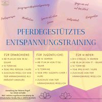 Pferdegestütztes Entspannungstraining / Isländer + Shetty Schleswig-Holstein - Mönkloh Vorschau