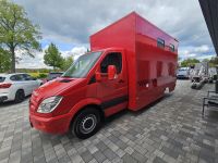 Mercedes Benz Sprinter Pferdetransporter Steinsberger Aufbau Brandenburg - Kremmen Vorschau