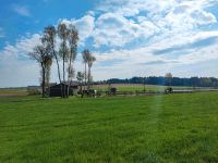 Bauernhof, Resthof, Aussiedlerhof oder großes Grundstück gesucht Bayern - Heiligenstadt Vorschau