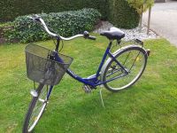 Damenfahrrad Bergsteiger Fahrrad 28 Zoll Nordrhein-Westfalen - Augustdorf Vorschau