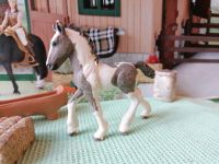 Schleich Tinker Fohlen Pferde Ponyhof Bauernhof Berlin - Neukölln Vorschau