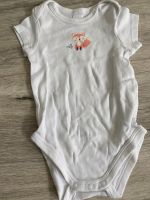 Babyclub Bodys Kurzarm 4er Set Gr. 68 Nordrhein-Westfalen - Königswinter Vorschau