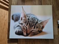 Wandbild Katze Hessen - Hadamar Vorschau