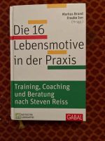 Markus Brand Die 16 Lebensmotive in der Praxis nach Reiss Hessen - Hofgeismar Vorschau