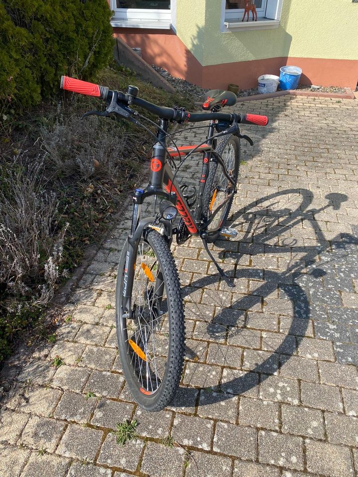 Mountainbike in Ebersdorf