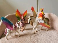 Schleich Feen Elfen Regenbogen Bayala Pegasus Einhorn Einhörner Hessen - Bad Homburg Vorschau