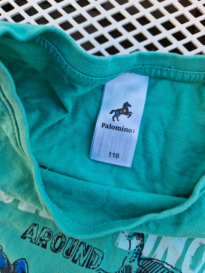 Langarmshirt von H&M und Palomino, Gr. 110/116 in Karlsbad