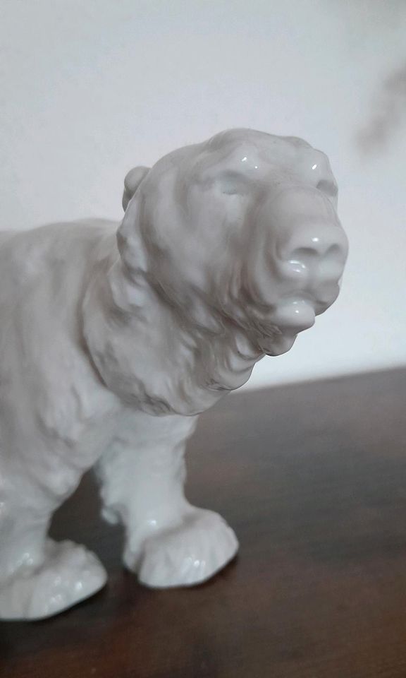 Meissen Porzellan Figur "Eisbär" Weiß, Höhe 11 cm, Länge 22 cm in Neusäß