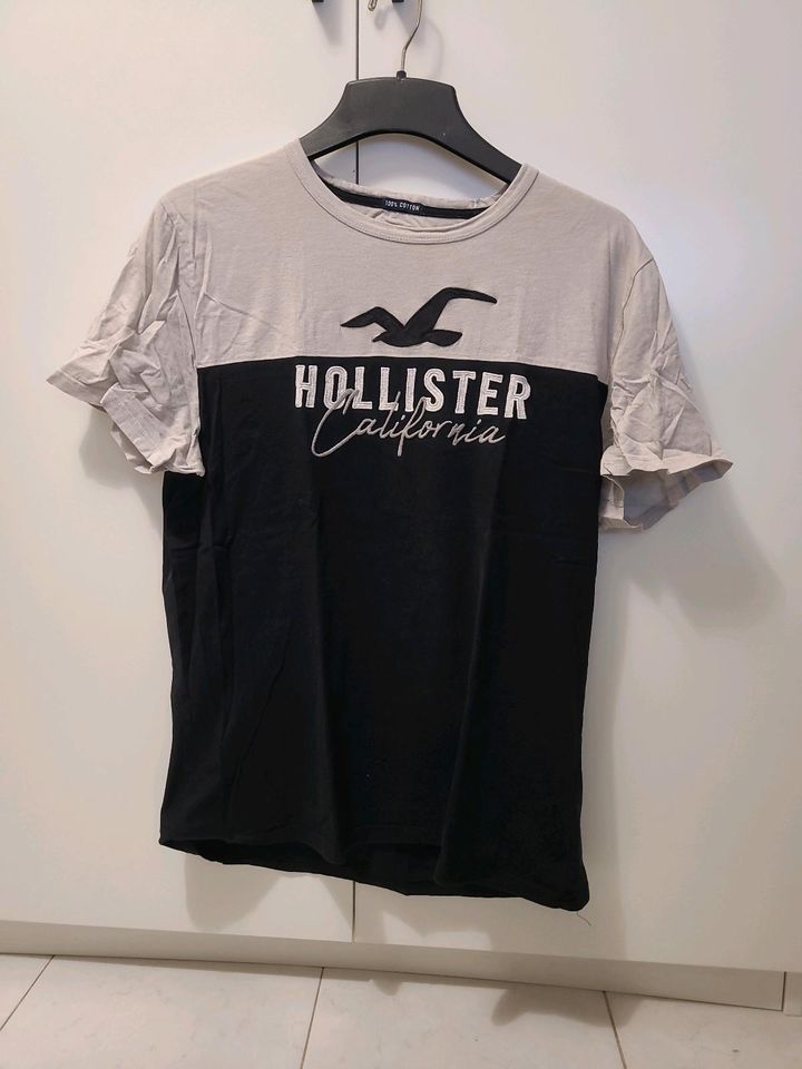 Hollister T shirt xl für Herren in Nieder-Olm