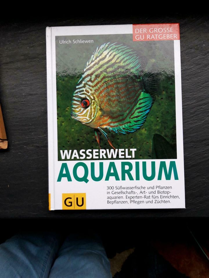 Hornkraut Hechtkraut Sauerstoff-Pflanze Koi Aquarium Algenkiller in Krefeld