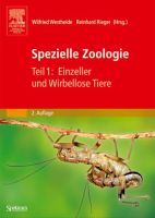 Spezielle Zoologie Teil 1: Einzeller und Wirbellose neu Berlin - Friedrichsfelde Vorschau