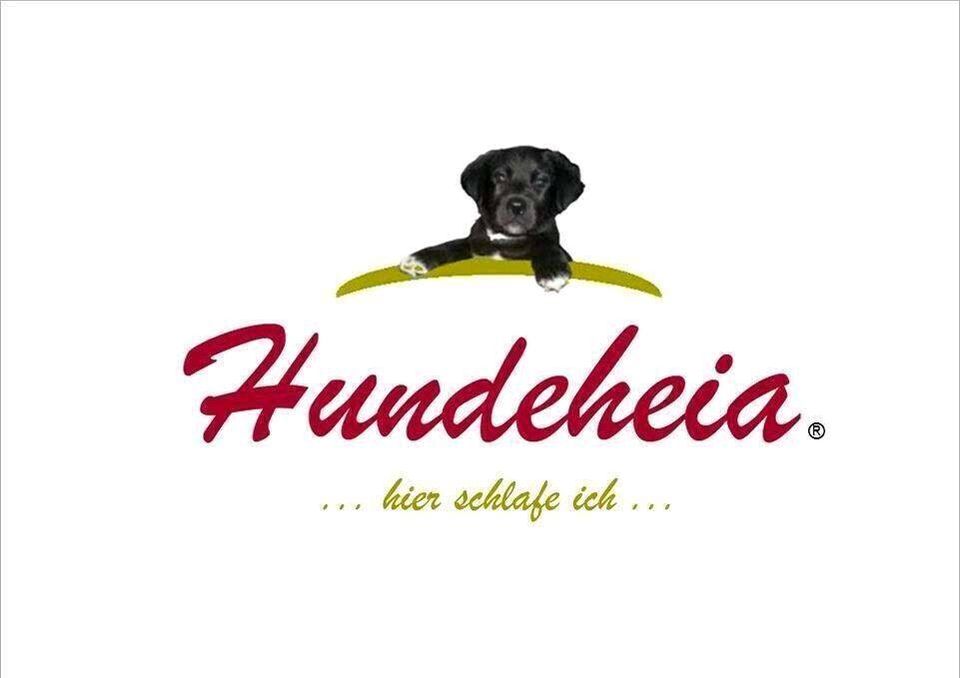 Orthopädische Hundebetten, Hundekissen direkt von Hersteller in Hennef (Sieg)