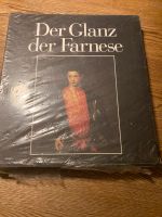 Der Glanz der Farnesse Kunstbuch Bayern - Rückersdorf Vorschau