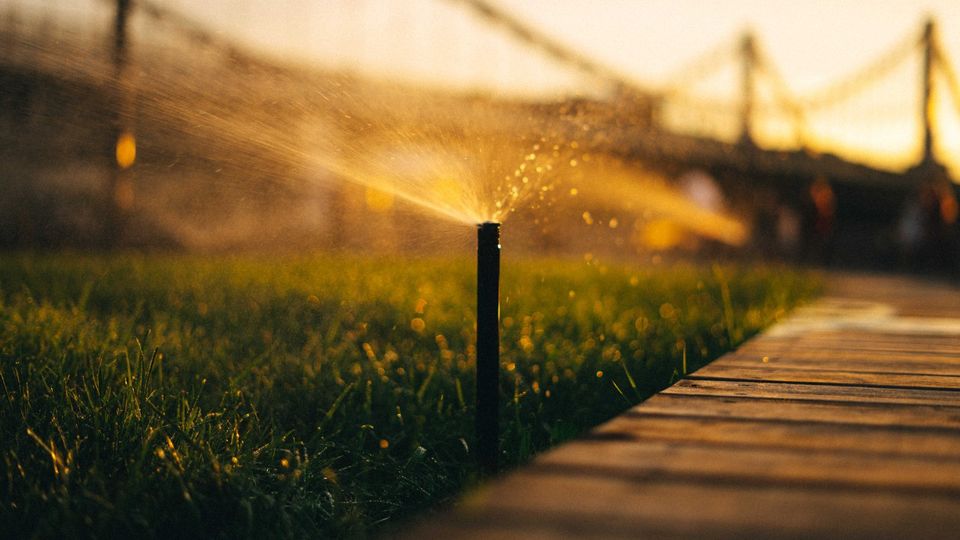 Rasen mähen Gartenpflege fachgerecht kostengünstig Raum Anklam in Anklam