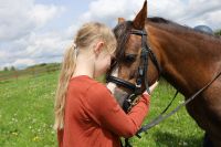 Reitunterricht Reitstunden Reiten Kinder Jugendliche Erwachsene Baden-Württemberg - Hohenfels Vorschau