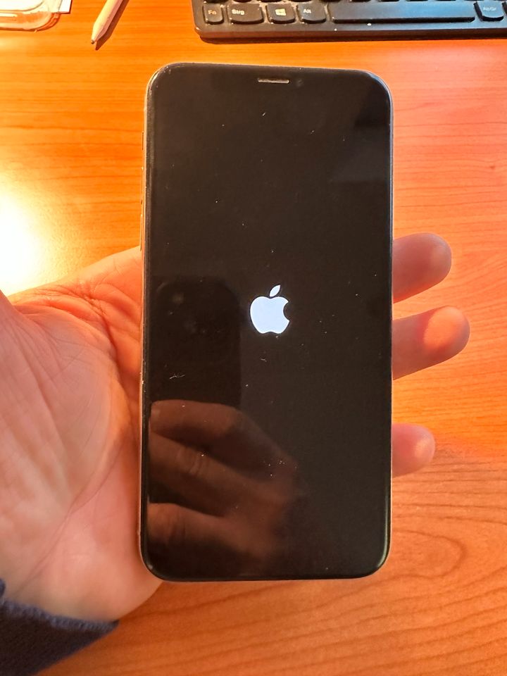 iPhone X 256GB top Zustand mit Original unbenutztem Zubehör in Flörsheim am Main