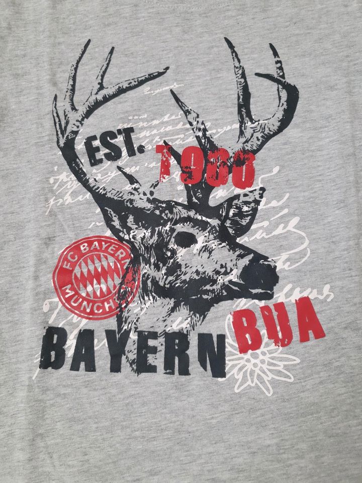 FC Bayern Kinder T-Shirt Größe 164, fällt kleiner aus, Bayern Bua in Hemau