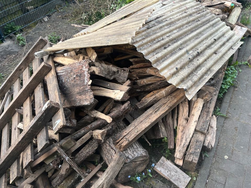 Holz/Brennholz in Gladbeck