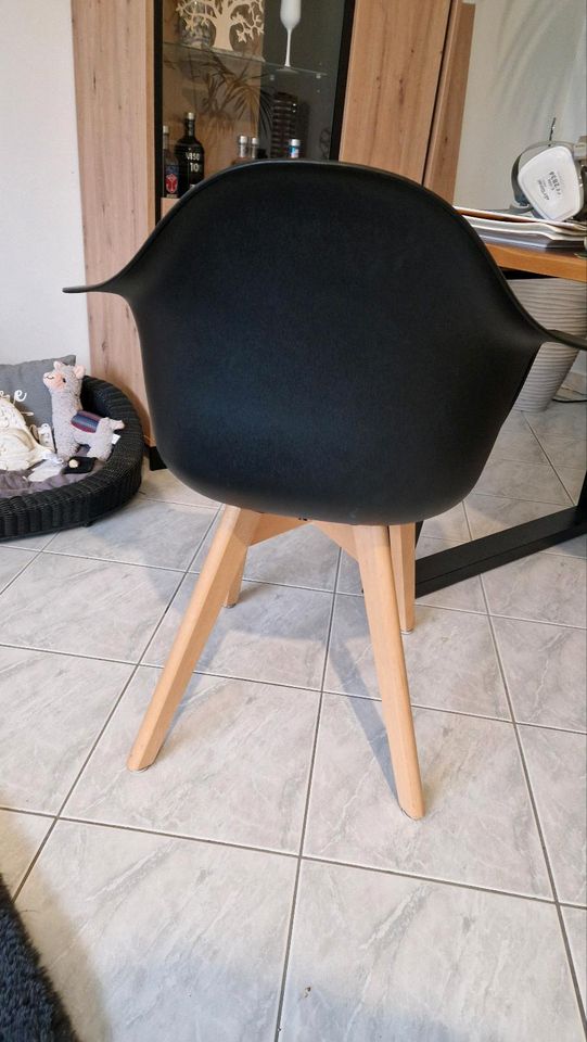 Design Stühle modern Kunststoff Holz in Rabenstein/Fläming