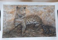 Art Print Leopard von Ingo Maas und Sascha Bianca Nordrhein-Westfalen - Meckenheim Vorschau