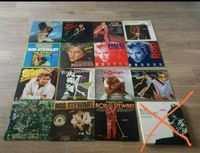Rod Stewart Plattensammlung doppel lp Album Brandenburg - Werder (Havel) Vorschau