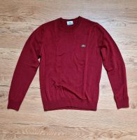 Lacoste Pullover Gr. 3 Sachsen-Anhalt - Wanzleben Vorschau