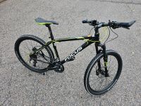 Mountainbike Focus Baden-Württemberg - Pforzheim Vorschau