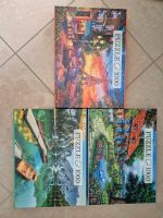 3x Puzzle 1000 Teile Rheinland-Pfalz - Mülheim-Kärlich Vorschau