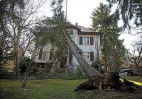 Baumnotdienst, Beseitigung Sturmschäden Rheinland-Pfalz - Koblenz Vorschau
