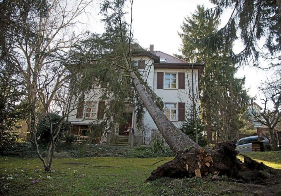 Baumnotdienst, Beseitigung Sturmschäden in Koblenz