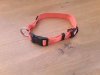 Trixi Hundehalsband M/L neon Niedersachsen - Cuxhaven Vorschau