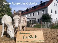 Urlaub Auszeit Ferien Natur Oberlausitz Esel - 3RW bis 5 Personen Dresden - Coschütz/Gittersee Vorschau