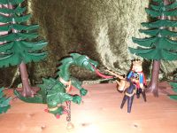 Playmobil 3840 - Drachen und Prinzen Hessen - Schöneck Vorschau