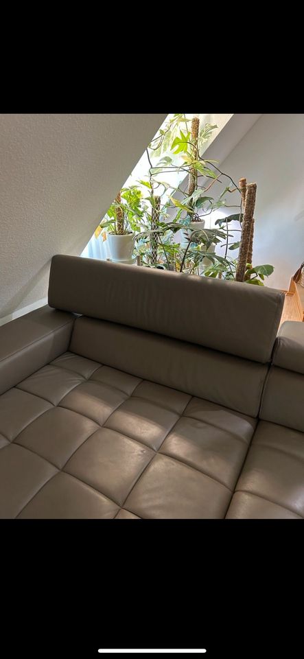 Modernes Ledersofa frei im Raum stellbar Farbe grau in Gochsheim