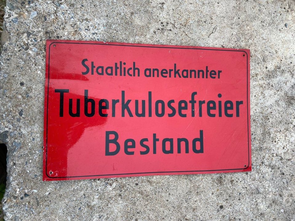 antik.Schild Staatlich anerkannter Tuberkulosefreier Best. in Bad Waldsee