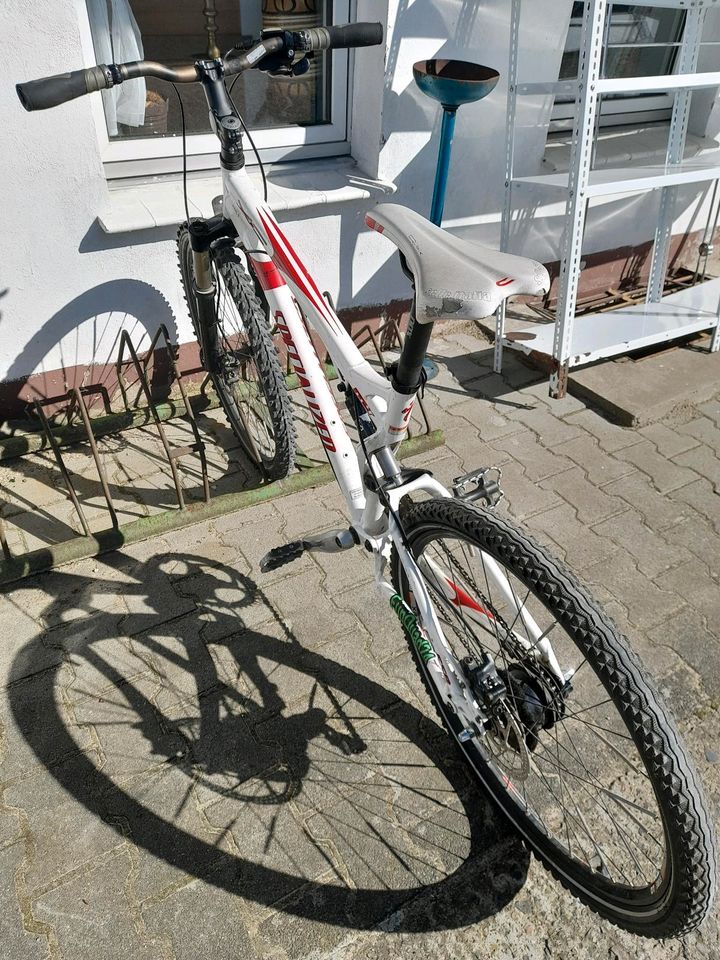 Fahrad SPECIALIZED in Brandenburg Fürstenwalde (Spree) eBay