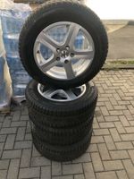 VW Passat 3B B8 Beetle Winterreifen Alufelgen 215/60R16 Pirelli Niedersachsen - Braunschweig Vorschau