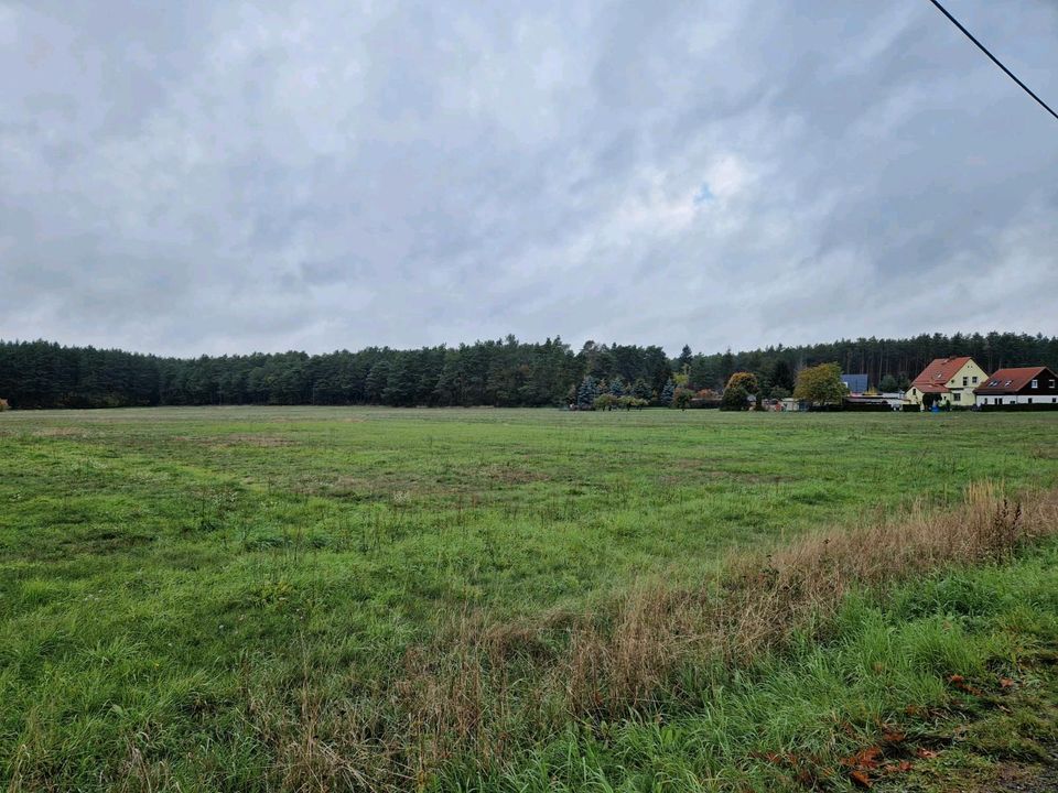 Bauland in Pechhütte (03238) Ortsteil von Finsterwalde in Brandenburg