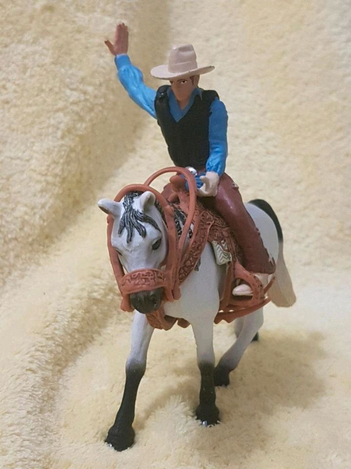 Schleich Western Set. in Chemnitz