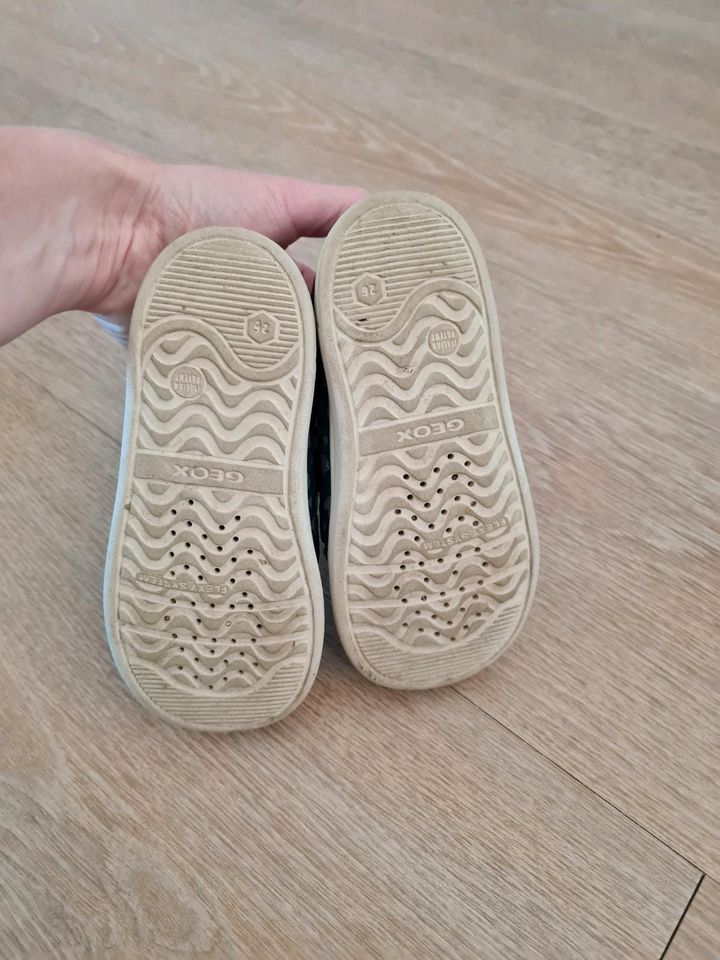 Geox Mädchen Schuhe Sneaker dunkelblau Gr. 26 in Radebeul