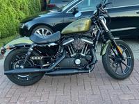 Harley Davidson Iron XL883N Niedersachsen - Scholen Vorschau