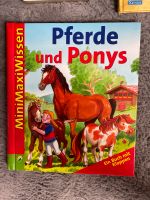 Pferde und Ponys Top Zustand Mit Klappen Niedersachsen - Scharnebeck Vorschau