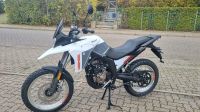 Malaguti Dune 125 ☆ABS☆Euro5☆auf Lager ! /B&M Niedersachsen - Goslar Vorschau