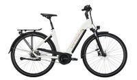 VICTORIA Elektro-Trekkingrad "eTrekking 11.6" Active Line PLUS Niedersachsen - Tostedt Vorschau