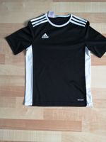 Adidas T-Shirt Größe 152 Baden-Württemberg - Dunningen Vorschau