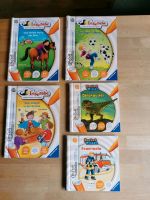 TipToi Buch Leserabe Pony Fußball Pocket Dinosaurier Feuerwehr Niedersachsen - Bad Gandersheim Vorschau