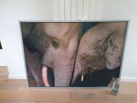 Ikea Wandbild Elefanten Hessen - Friedrichsdorf Vorschau